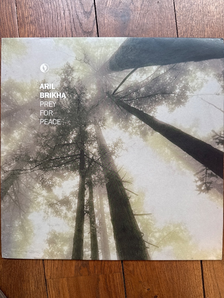 Pochette de Aril Brikha – Prey For Peace