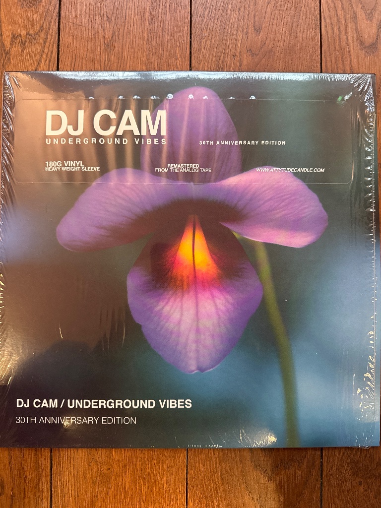 Pochette de DJ Cam – Underground Vibes (30th Anniversary Edition)