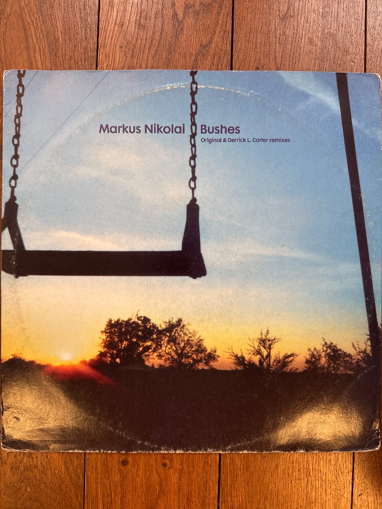 Pochette de Markus Nikolai – Bushes