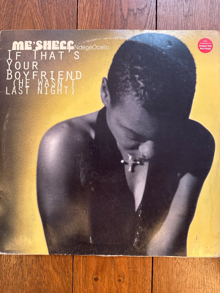 Pochette de Me'Shell Ndegéocello – If That's Your Boyfriend (He Wasn't Last Night)