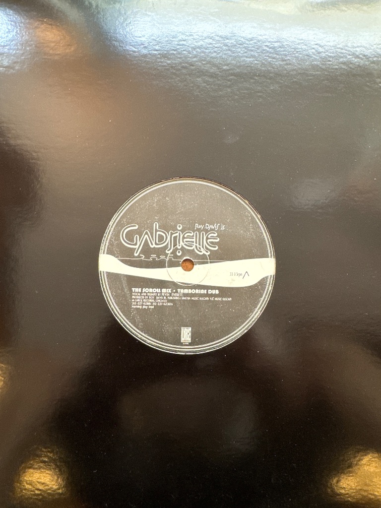 Pochette de Roy Davis Jr. feat. Peven Everett – Gabrielle